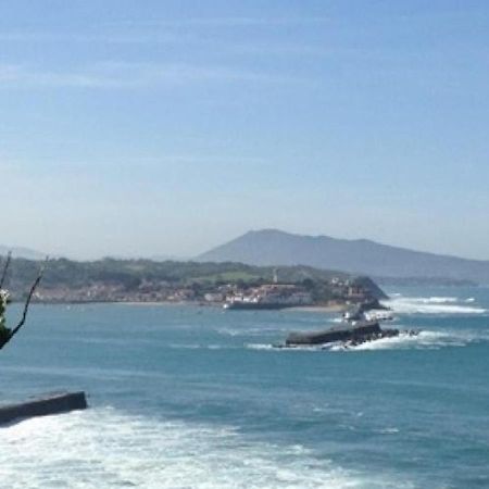Elegant Appartement A St-Jean-De-Luz - Proche Plage & Commerces - Fr-1-239-851 圣让－德吕兹 外观 照片